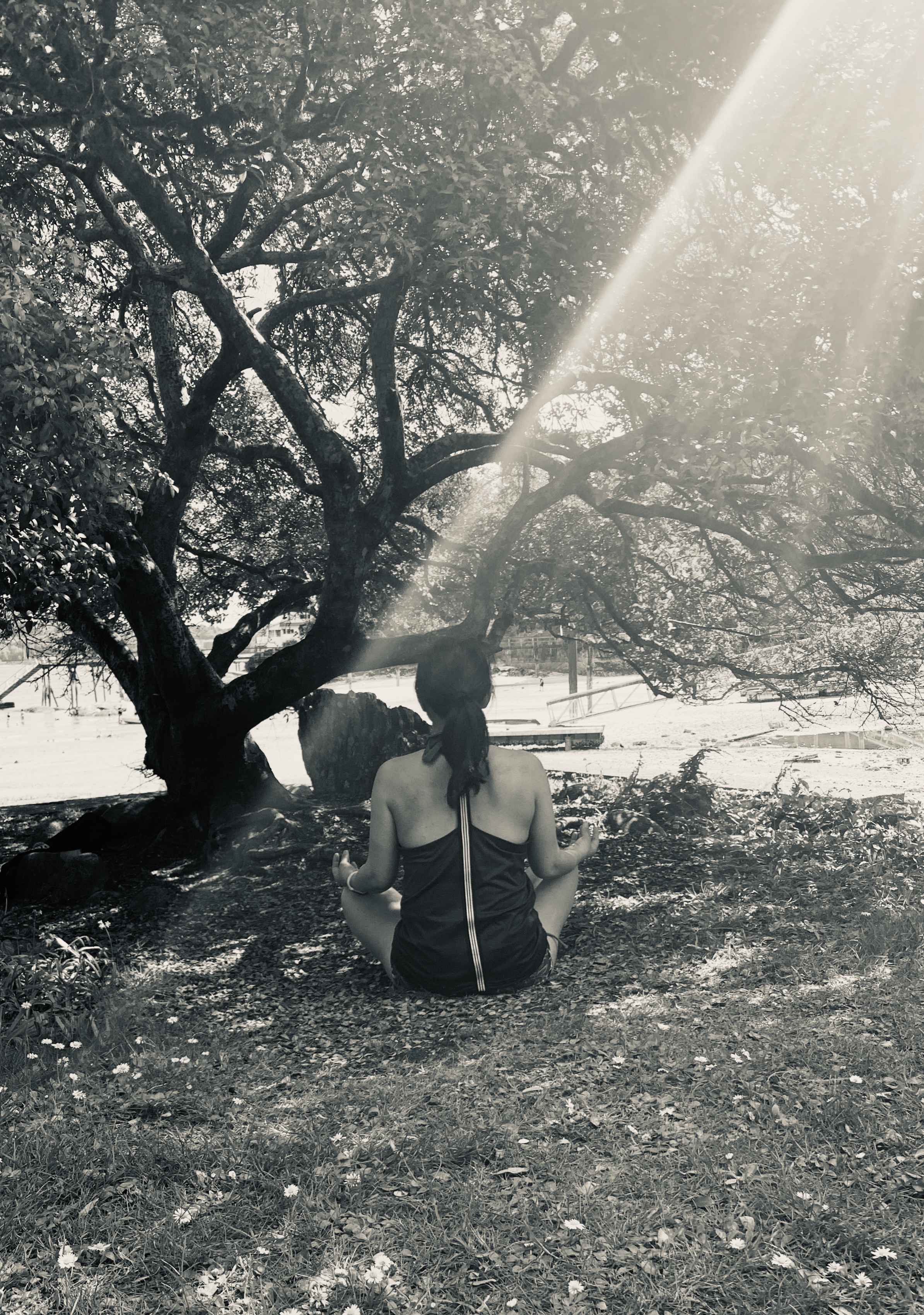 Mary Chang Meditation taken by my son IMG_6953