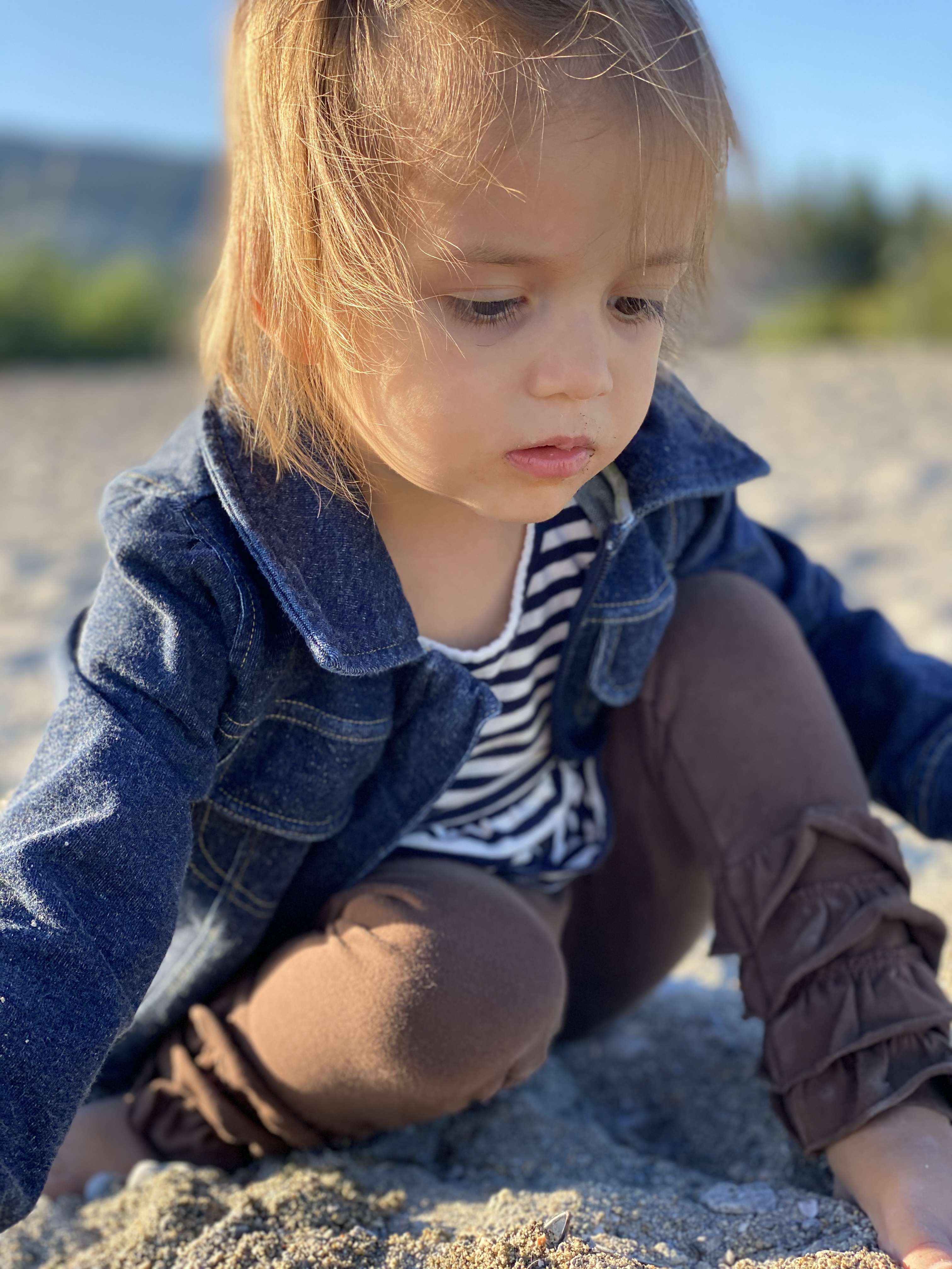 Susan Evvie image0 (3)