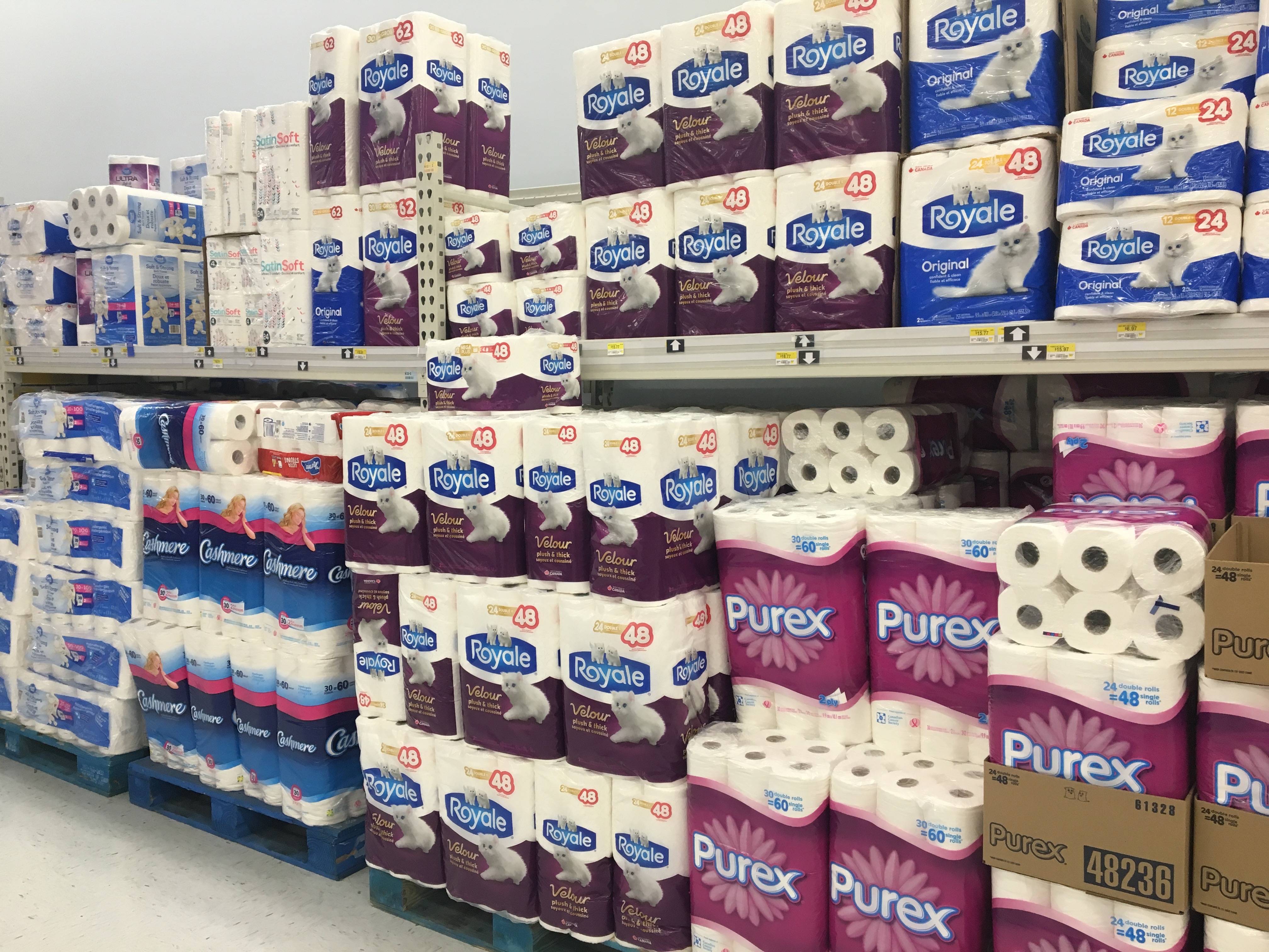 toilet paper full IMG_7311